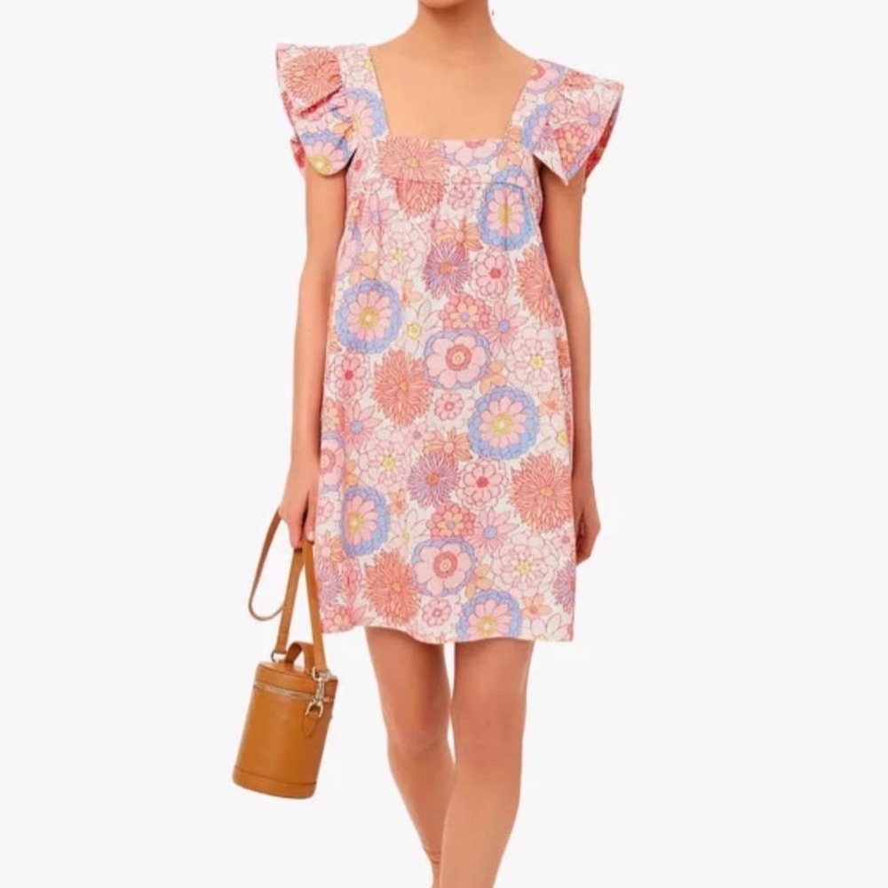 Tuckernuck Dress, Cameran Eubanks